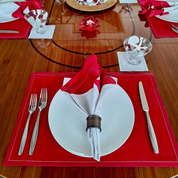 The Red Carpet Placemats