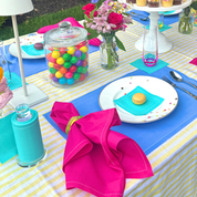 Summer Dreaming Placemats